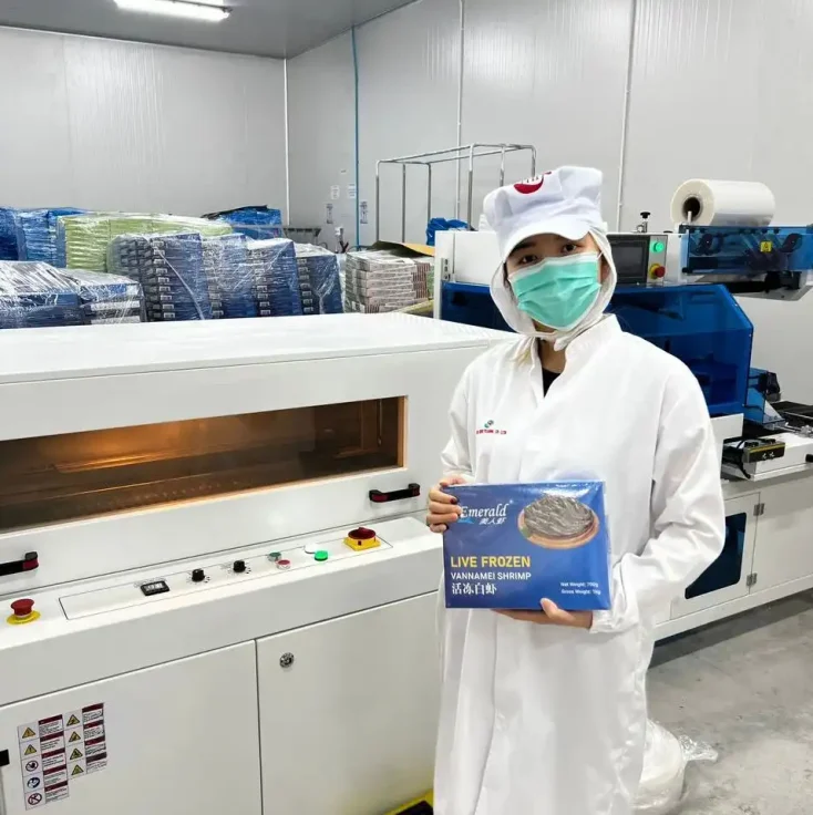 Packaging Machine and Others